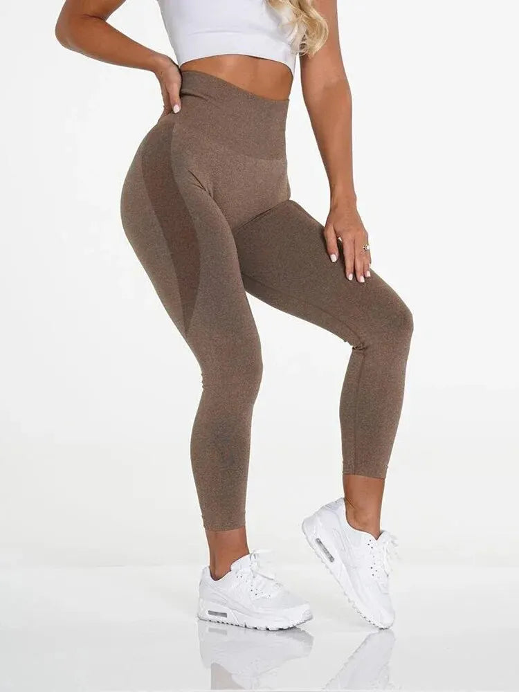 Contour Seamless Leggings Womens Butt' Lift Curves Workout Tights Yoga